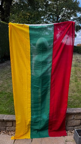 Big lithuania flag - flag, 2.5